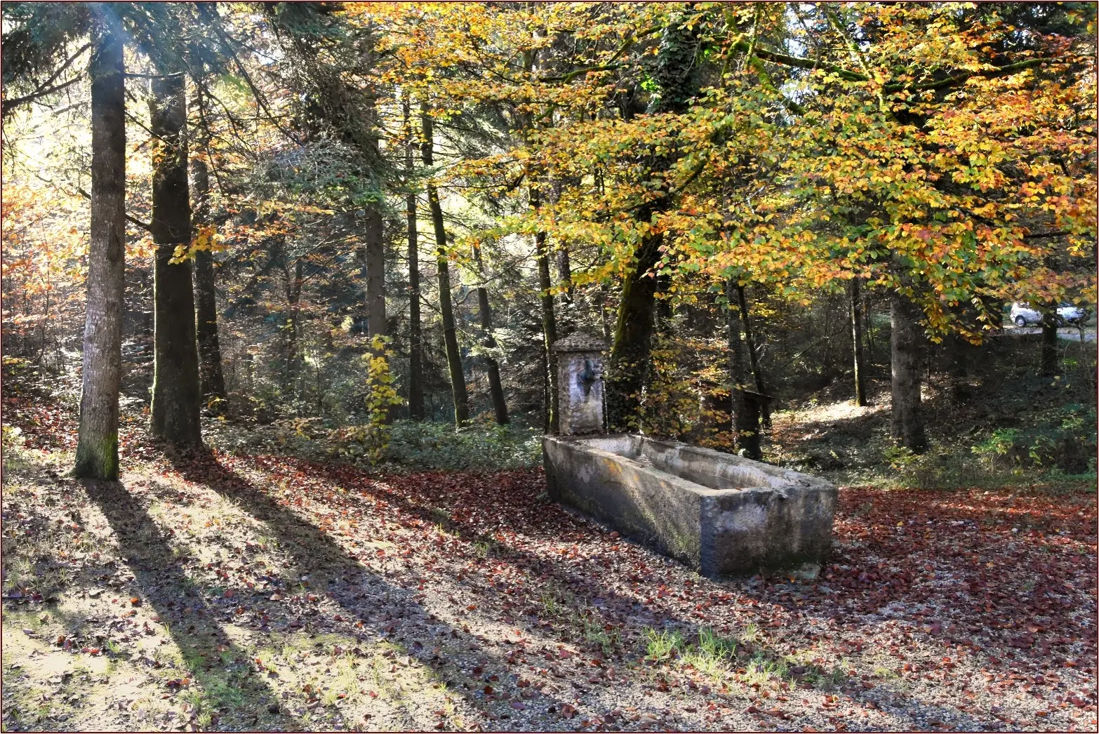 Image1
