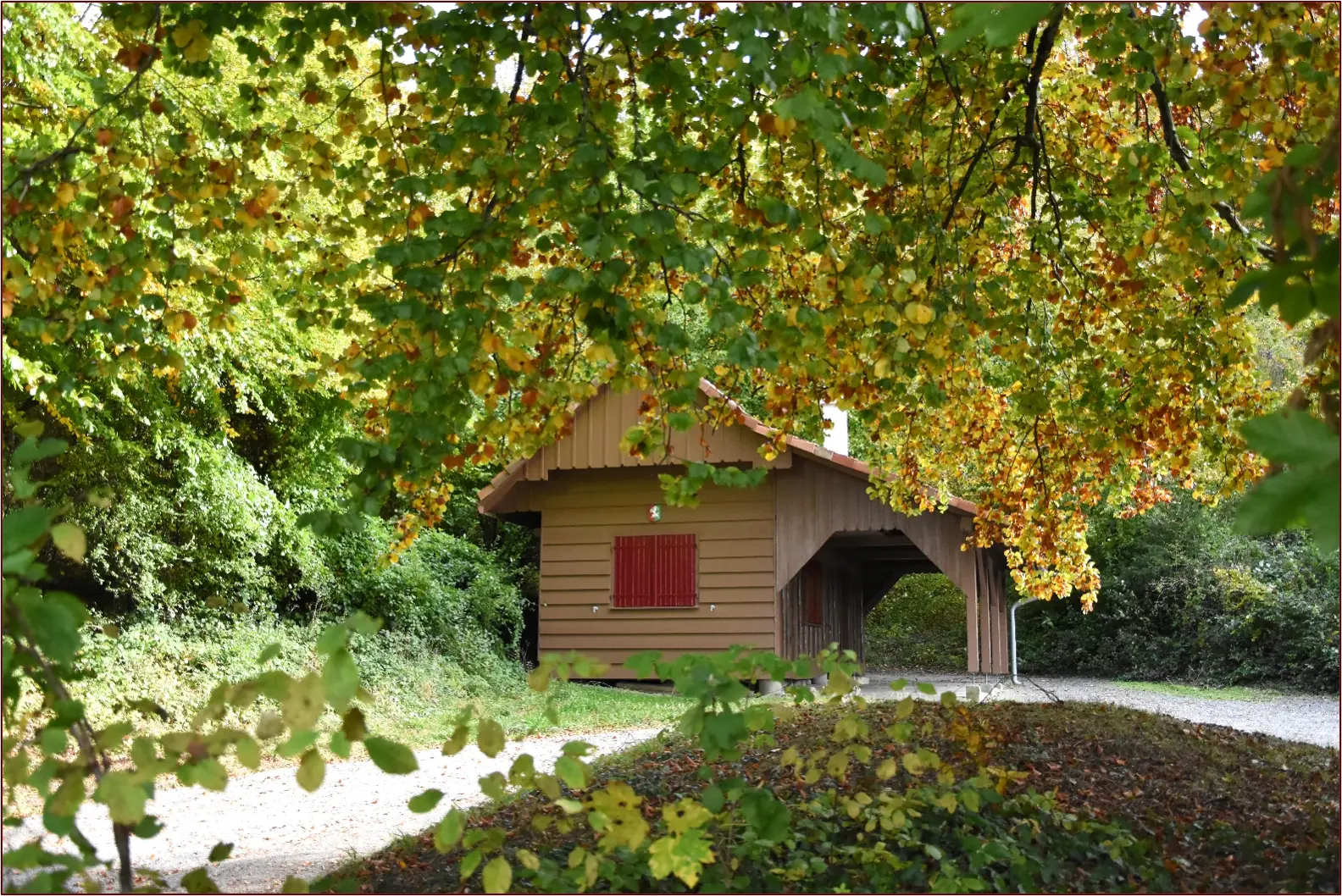 Image2