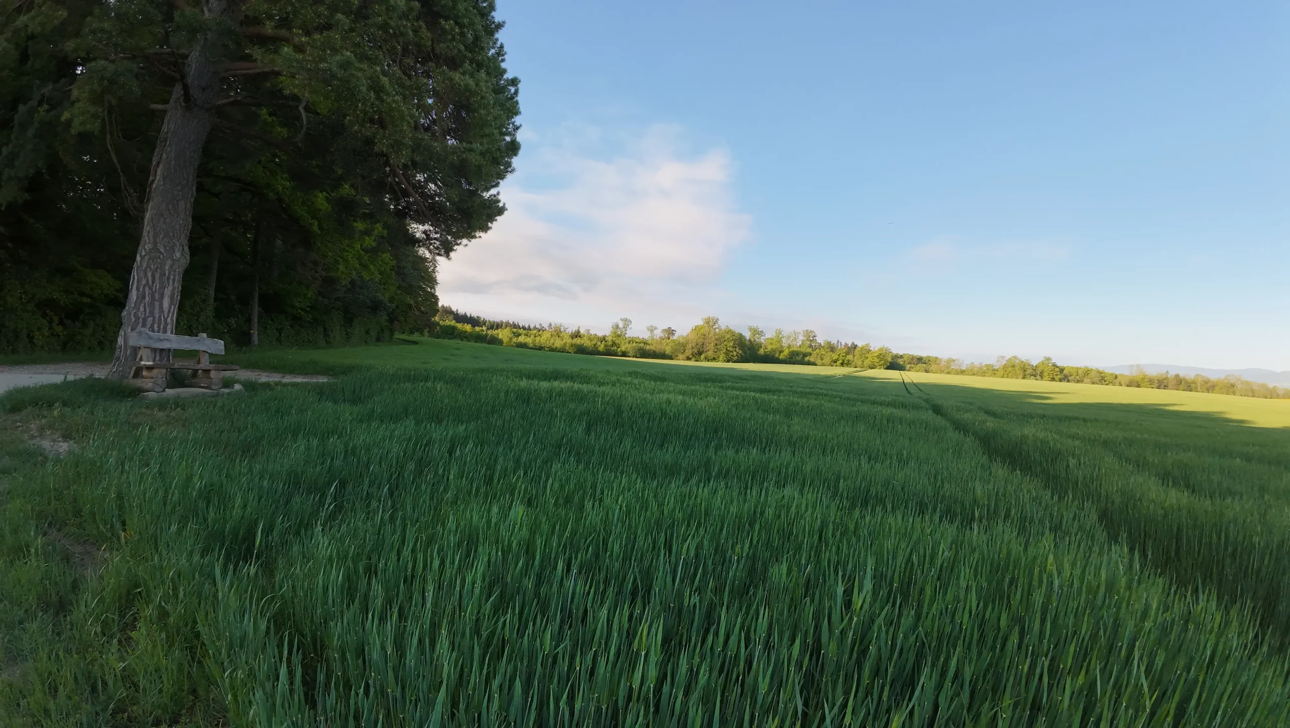 dji_fly_20260430_084820_0017_1777529067122_photo