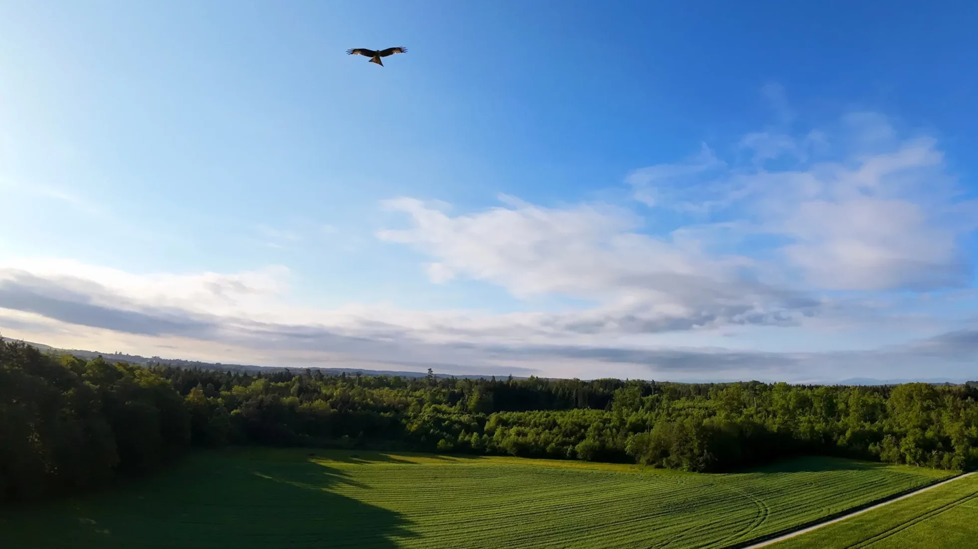 dji_fly_20260430_084916_0019_1777529079607_photo